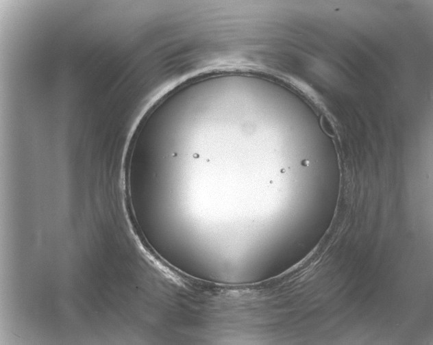 X0000053001335200508051124