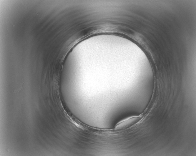 X0000053001337200508051124