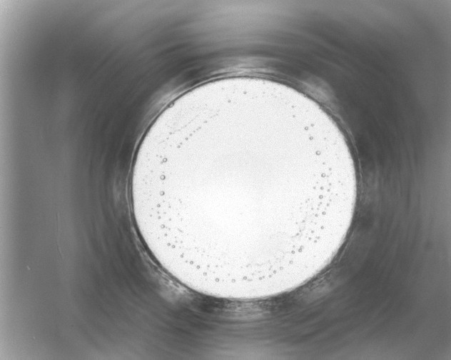 X0000053001338200508051124