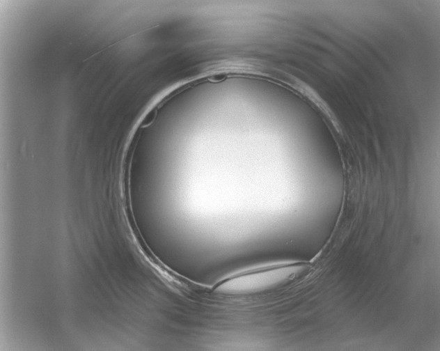 X0000053001339200508051124