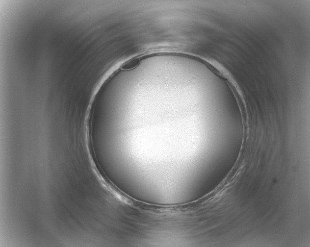 X0000053001341200508051124