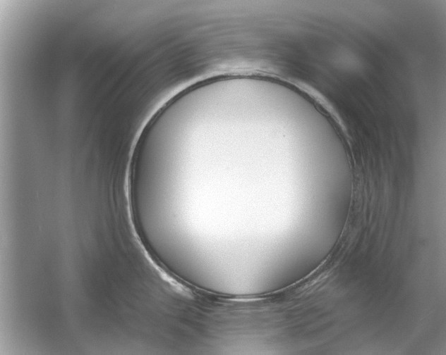 X0000053001343200508051124