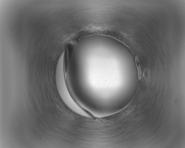 X0000053001348200508051123