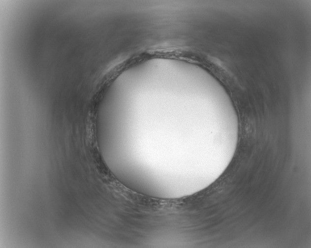 X0000053001350200508051123