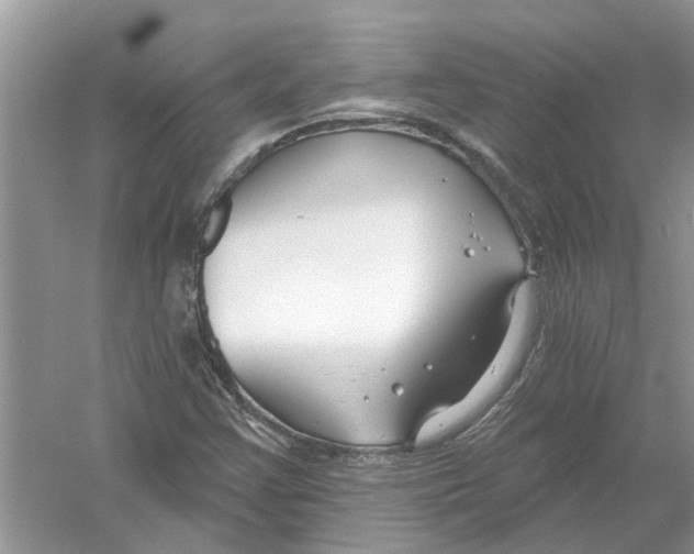 X0000053001355200508051123