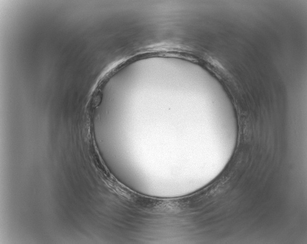 X0000053001358200508051123