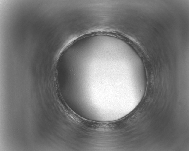 X0000053001359200508051123