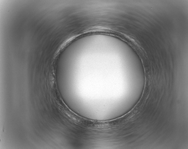 X0000053001363200508051123