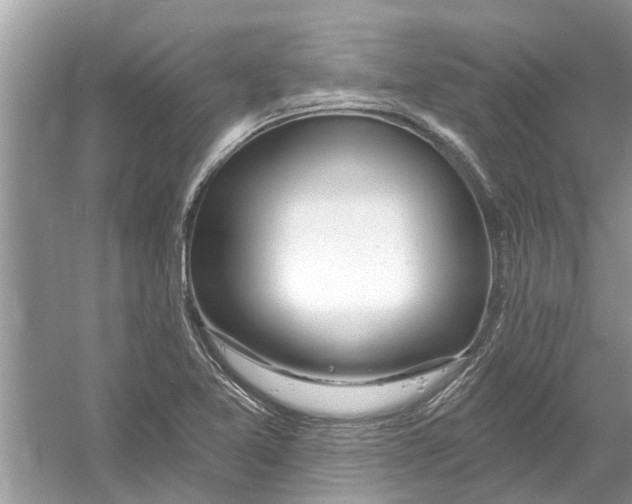 X0000053001365200508051123