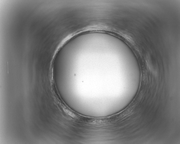 X0000053001366200508051123