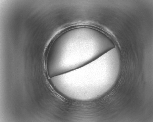 X0000053001368200508051123