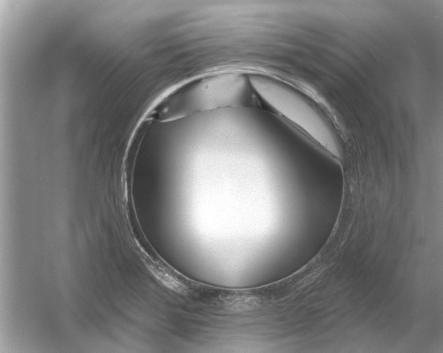 X0000053001372200508051123