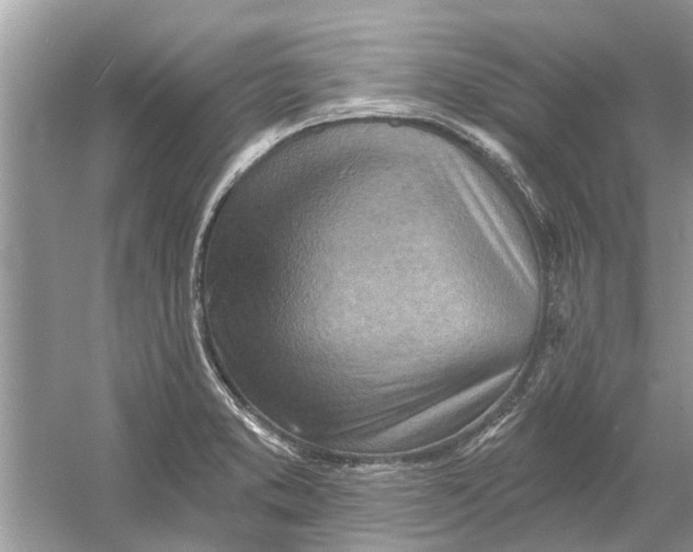 X0000053001373200508051123