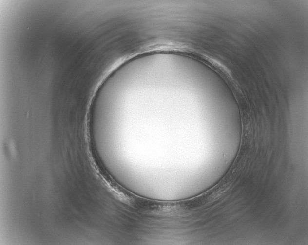 X0000053001375200508051123