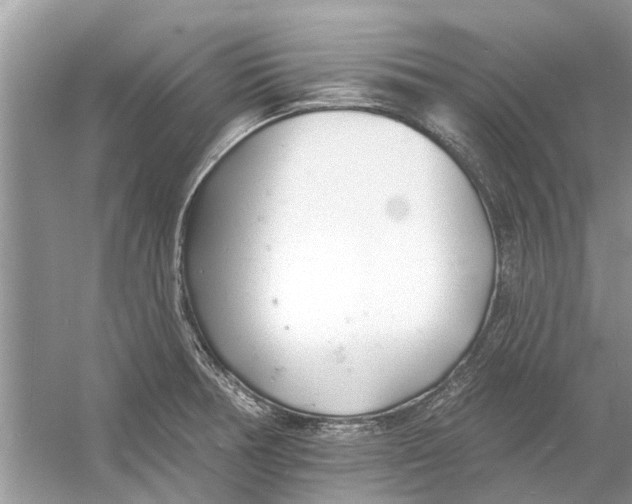 X0000053001378200508051123