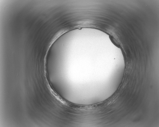 X0000053001386200508051123