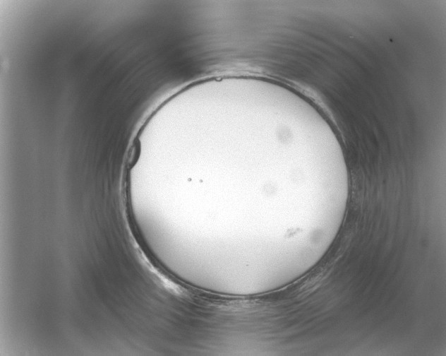 X0000053001387200508051123