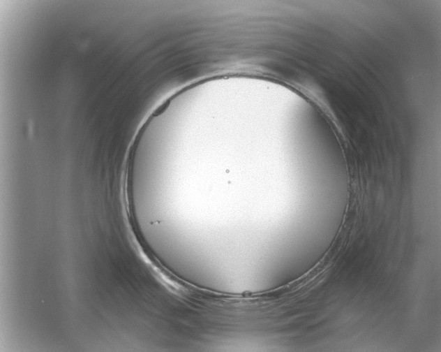 X0000053001391200508051122