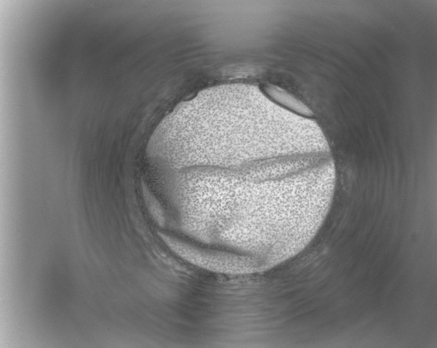 X0000053001393200508051122