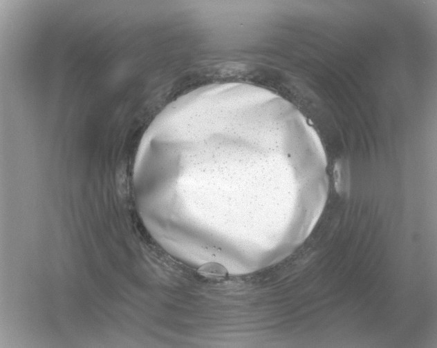 X0000053001395200508051122