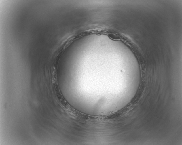 X0000053001399200508051122