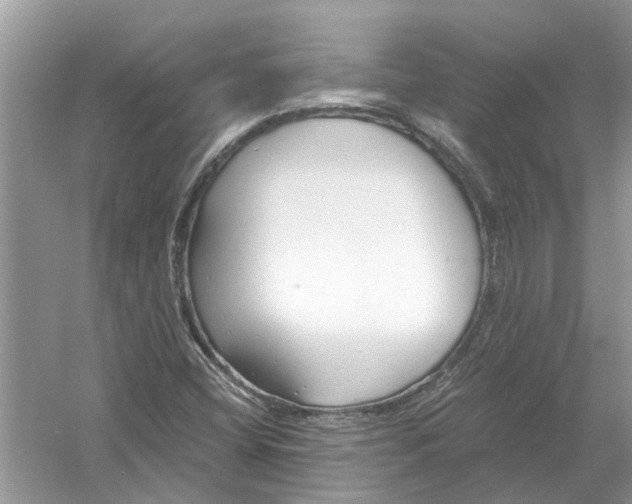 X0000053001404200508051122