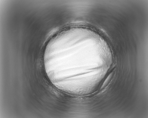 X0000053001405200508051122