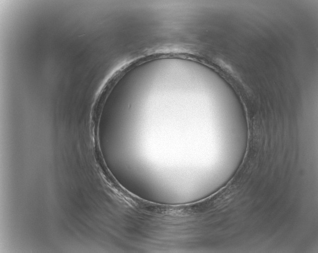 X0000053001408200508051122