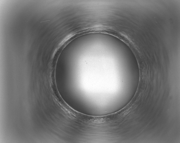 X0000053001410200508051122