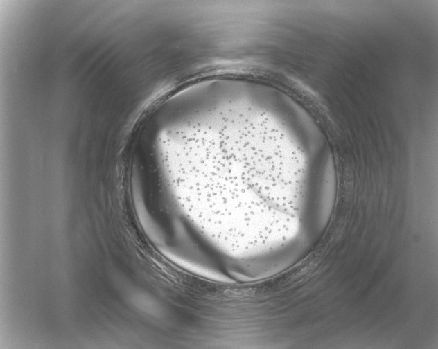 X0000053001411200508051122