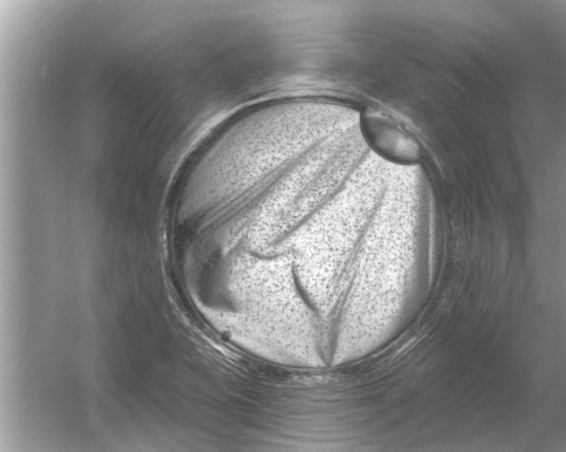 X0000053001415200508051122