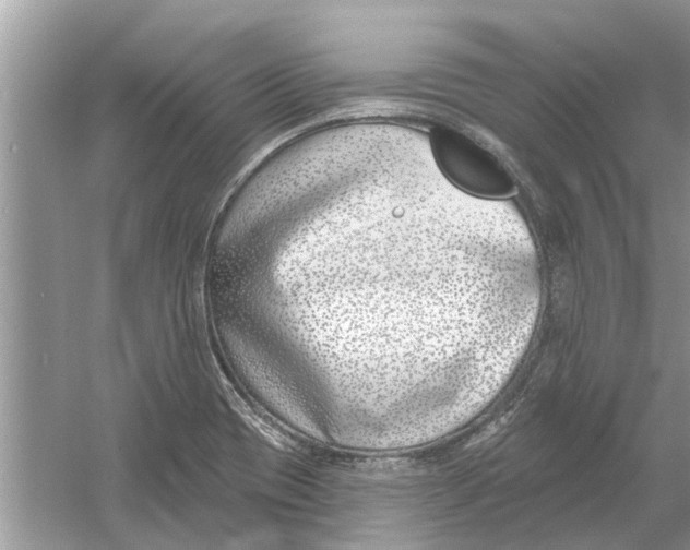 X0000053001417200508051122