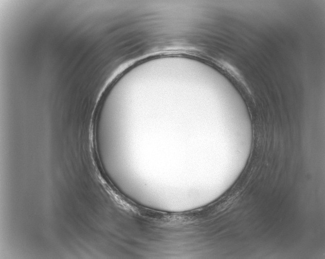 X0000053001420200508051122