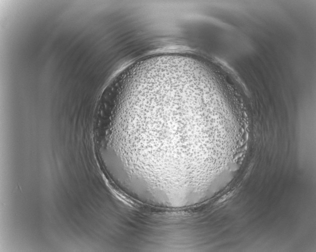 X0000053001425200508051122