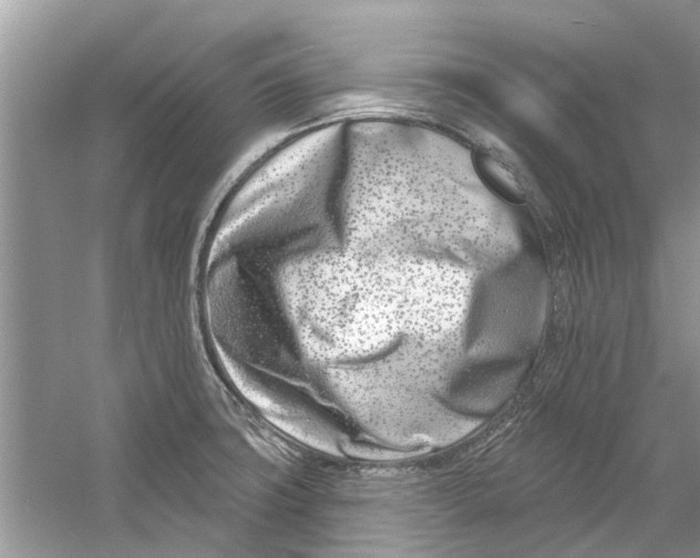 X0000053001427200508051122