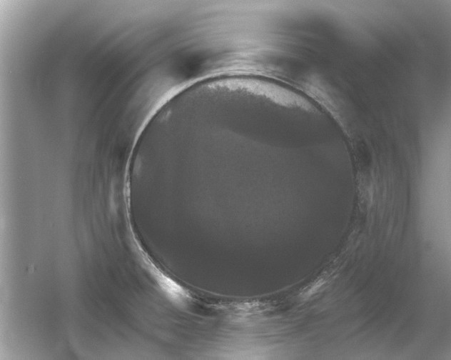 X0000053001428200508051122