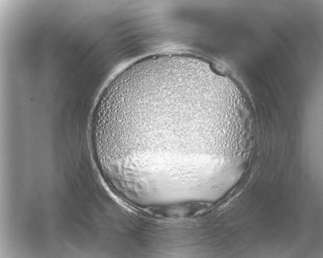 X0000053001429200508051122