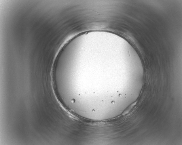 X0000053001432200508051122