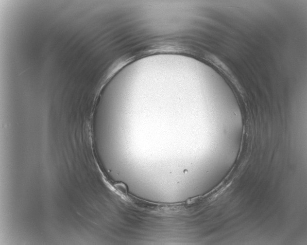 X0000053001433200508051122