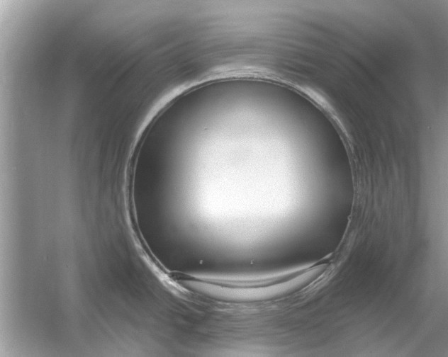 X0000053001438200508051122