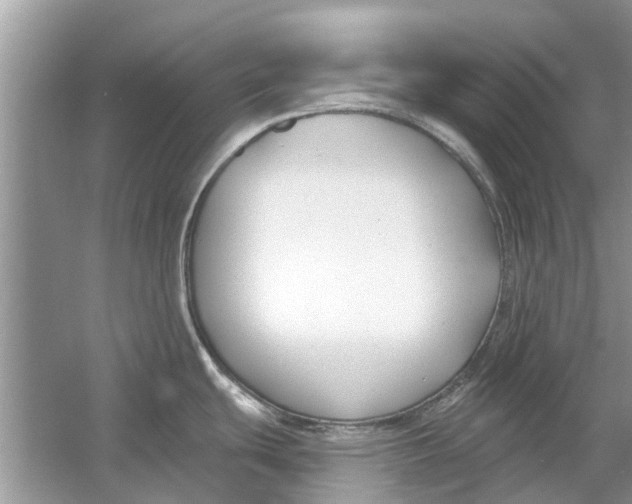 X0000053001439200508051122