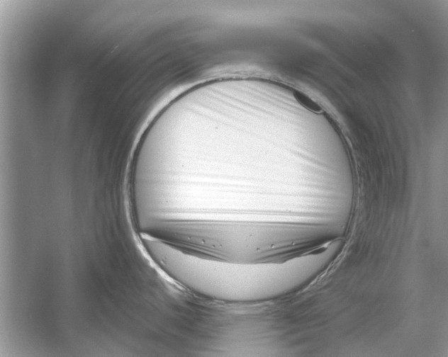 X0000053001440200508051122