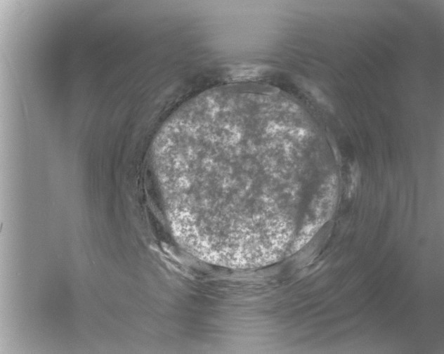 X0000053001441200508051122