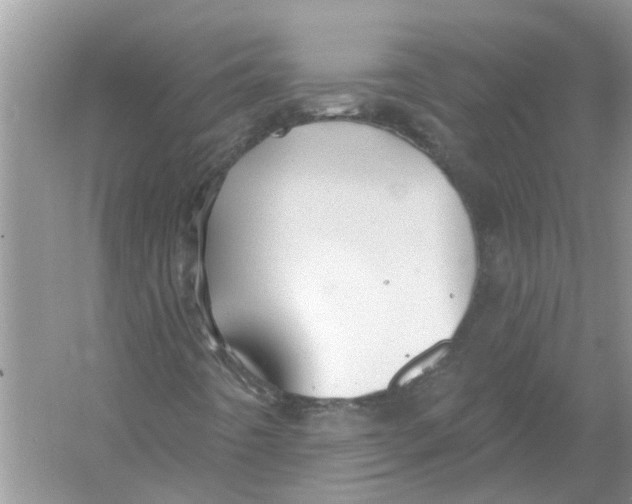 X0000053001442200508051122