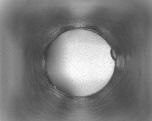 X0000053001444200508051122