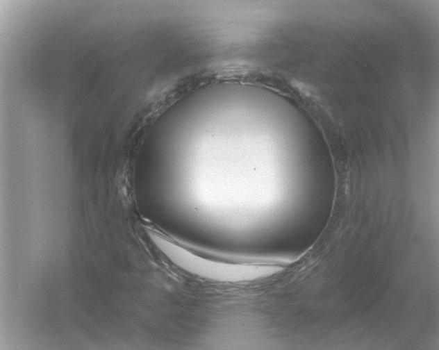 X0000053001445200508051122