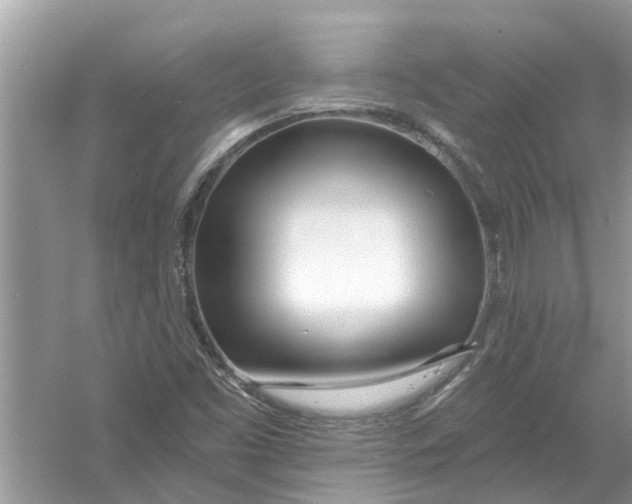 X0000053001453200508051121