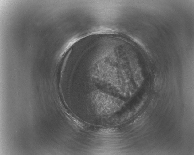 X0000053001455200508051121