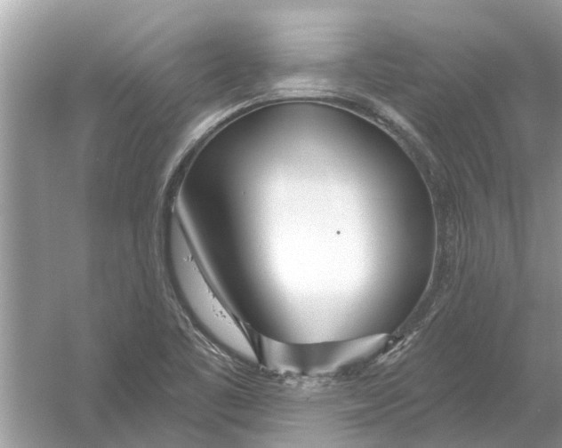 X0000053001461200508051121