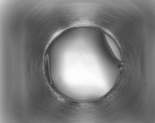 X0000053001469200508051121